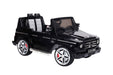 g55lowdoor-resized (4)